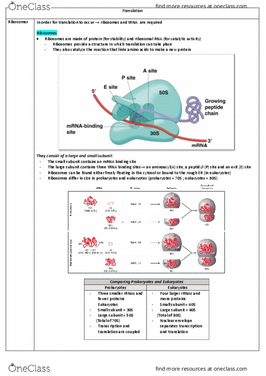 document preview image