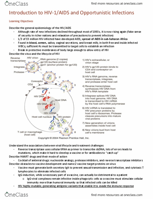 HSCI 212 Lecture Notes - Lecture 7: Mycobacterium Avium-Intracellulare Infection, Shingles, Cytotoxic T Cell thumbnail