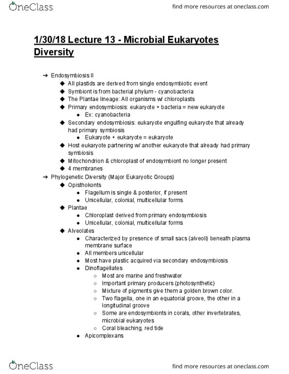 BIS 2C Lecture Notes - Lecture 13: Oomycete, Heterotroph, Rhizaria thumbnail