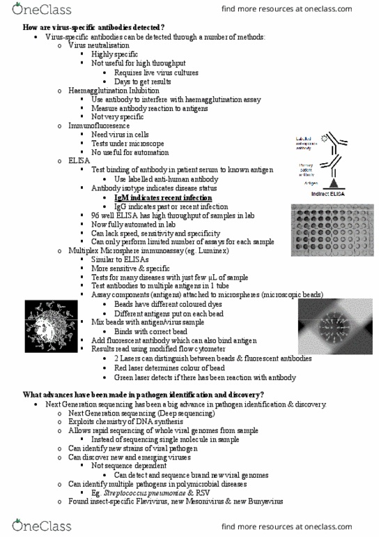 MICR3002 Lecture Notes - Lecture 4: Microorganism, Dengue Virus, Coronavirus thumbnail