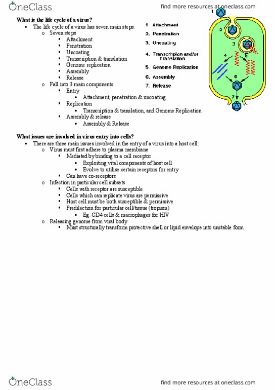 MICR3002 Lecture Notes - Lecture 7: Heparin, Intercellular Adhesion Molecule, Pinocytosis thumbnail