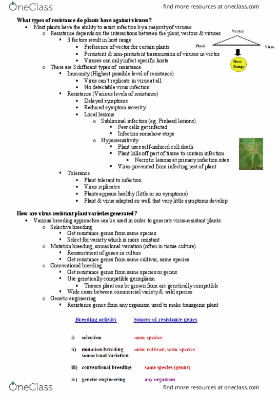 MICR3002 Lecture Notes - Lecture 24: Herbicide, Potexvirus, Normal Function thumbnail
