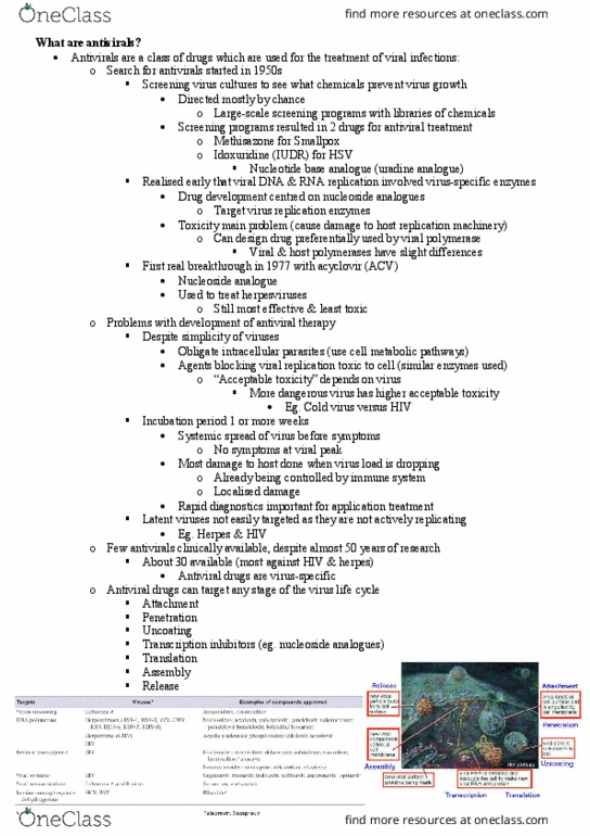 MICR3002 Lecture Notes - Lecture 34: Combination Drug, Neuraminidase, Zanamivir thumbnail