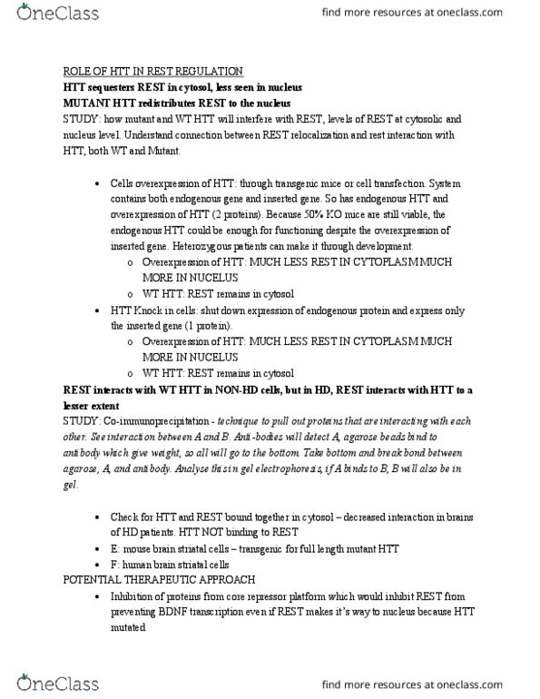 CAS NE 525 Lecture Notes - Lecture 9: Cytochrome C, Lysosome, Mitochondrial Fission thumbnail