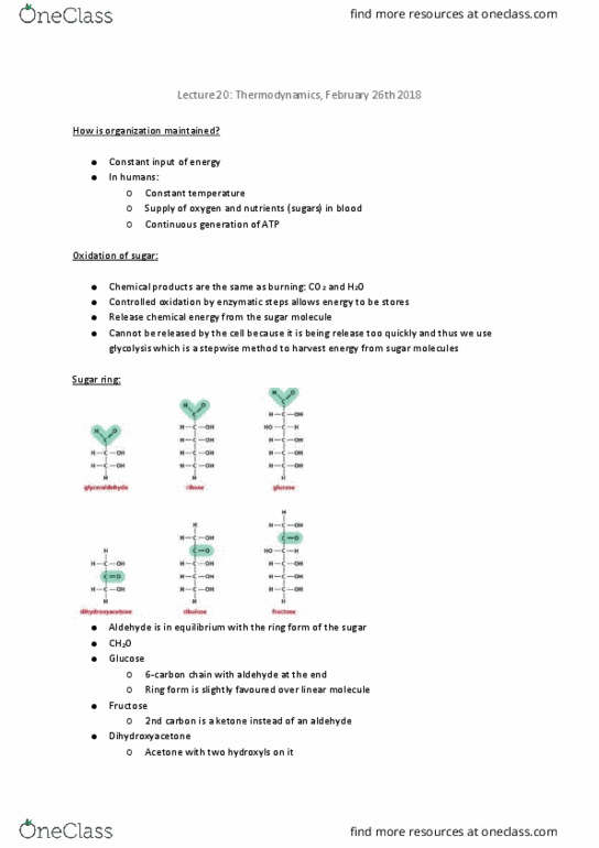 ANTH 210 Lecture Notes - Lecture 20: G1 Phase, Myc, Chromatin thumbnail