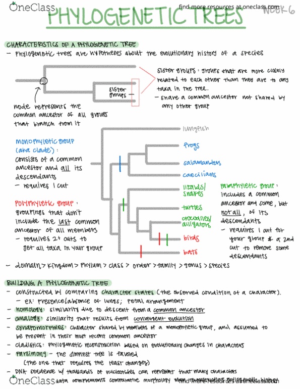 LIFESCI 7B Lecture 6: Phylogenetic Trees Outline thumbnail
