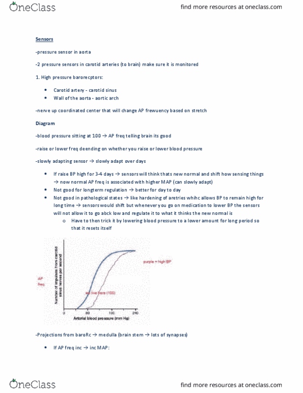 HK 3810 Lecture Notes - Lecture 10: Autoregulation, Angiotensin, Endocytosis thumbnail