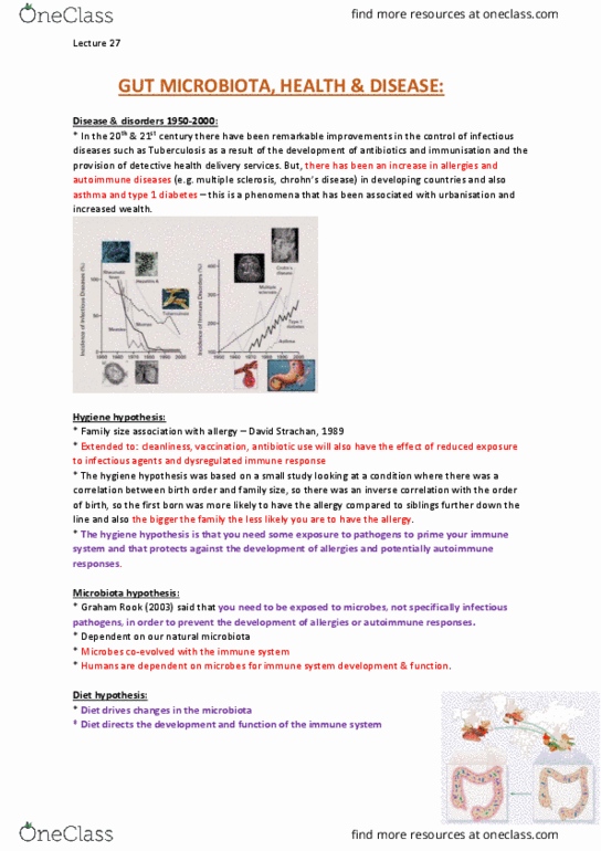 BCMB30011 Lecture Notes - Lecture 27: Competitive Exclusion Principle, Peristalsis, Succinic Acid thumbnail