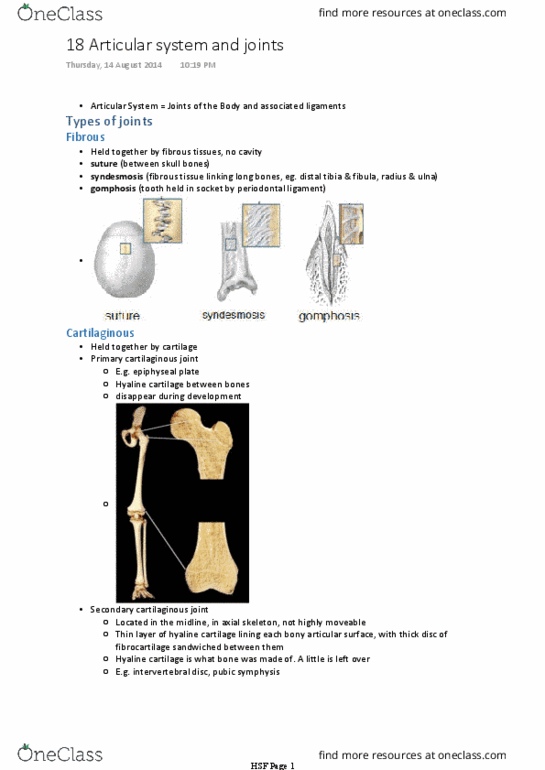 BIOM20002 Lecture Notes - Lecture 18: Hip, Coronal Plane, Synovial Fluid thumbnail