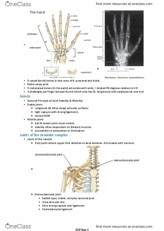 BIOM20002 Lecture Notes - Lecture 20: Radial Notch, Pivot Joint, Humerus thumbnail