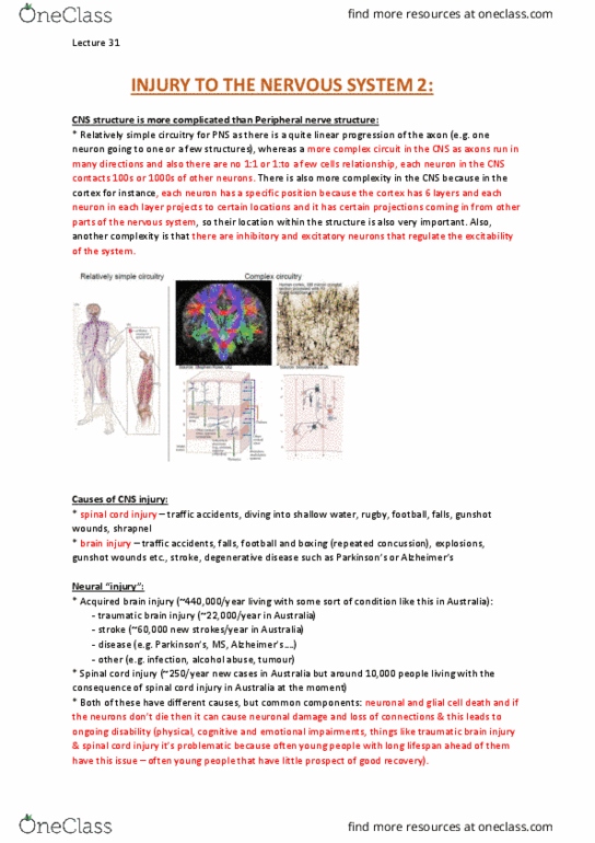 NEUR30002 Lecture Notes - Lecture 31: Tumor Necrosis Factor Superfamily, Encephalopathy, Gliosis thumbnail