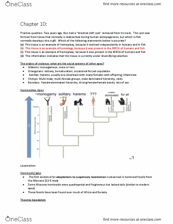 BIOLOGY 1M03 Lecture Notes - Lecture 7: Paranthropus, Premolar, Symbolic Culture thumbnail