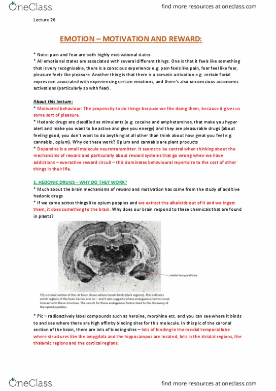 NEUR30003 Lecture Notes - Lecture 26: Basal Forebrain, Medial Dorsal Nucleus, Substantia Nigra thumbnail