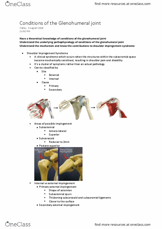 PHTY207 Lecture Notes - Lecture 3: Fibroblast, Brachial Plexus, Cervical Rib thumbnail