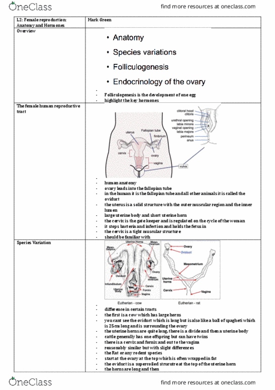 BIOL30001 Lecture Notes - Lecture 2: Prostaglandin H2, Marsupial, Menopause thumbnail