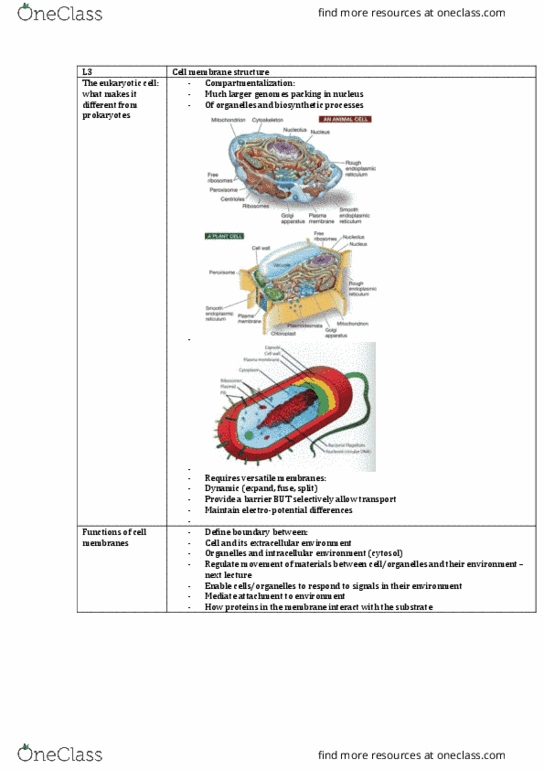 CEDB20003 Lecture Notes - Lecture 3: Integral Membrane Protein, Bacteriorhodopsin, Glycolipid thumbnail