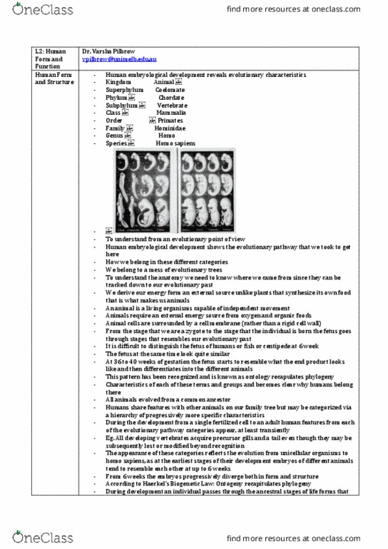 ANAT20006 Lecture Notes - Lecture 2: Skeletal Muscle, Foregut, Umbilical Cord thumbnail
