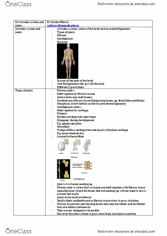 ANAT20006 Lecture Notes - Lecture 9: Compressive Stress, Fibril, Septic Arthritis thumbnail
