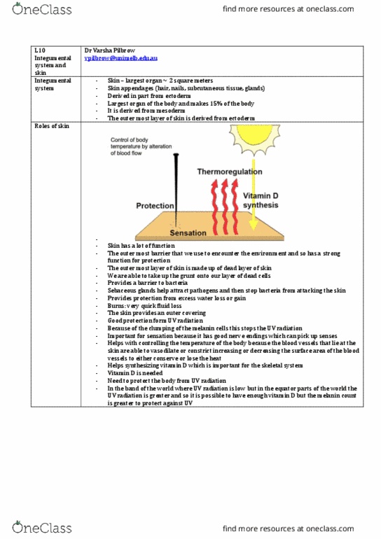 ANAT20006 Lecture Notes - Lecture 10: Merocrine, Body Fluid, Anastomosis thumbnail