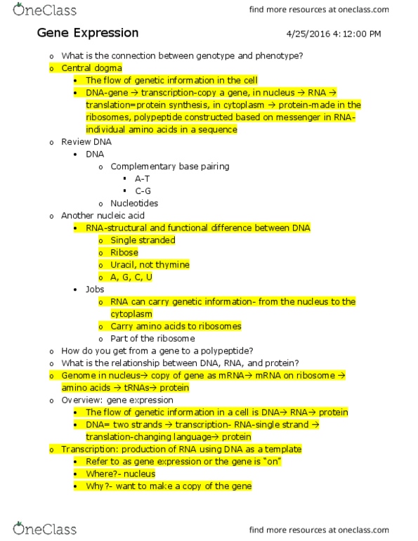 BISC104 Lecture Notes - Lecture 9: Point Mutation, Diastole, Cytosine thumbnail