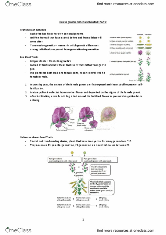 BIOA01H3 Lecture 15: Lec 15 - i2 thumbnail