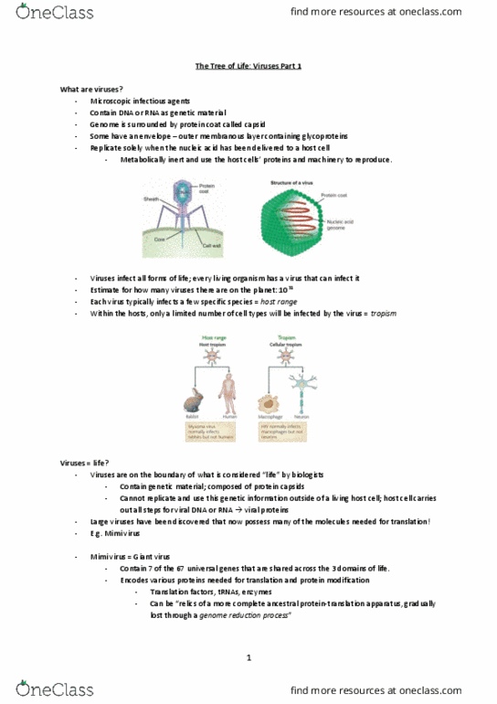 BIOA01H3 Lecture Notes - Lecture 23: Alpha Helix, Girus, Virus Classification thumbnail