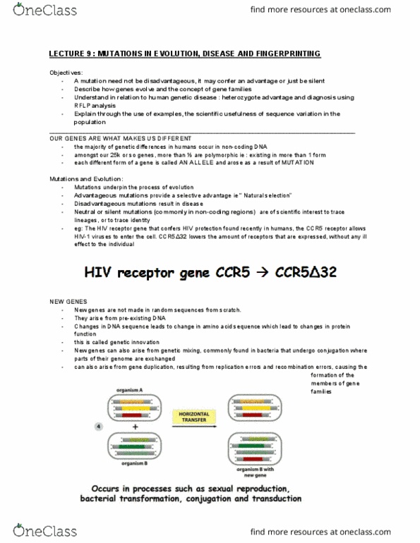 BMS1062 Lecture Notes - Lecture 9: Myoglobin, Porphyrin, Hemoglobin thumbnail