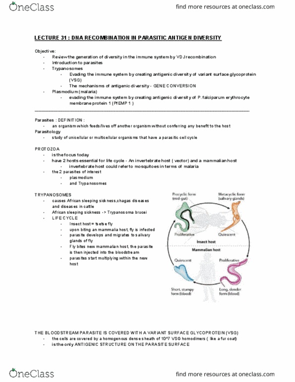 BMS1062 Lecture Notes - Lecture 31: Telomere, Malaria, Phagocytosis thumbnail