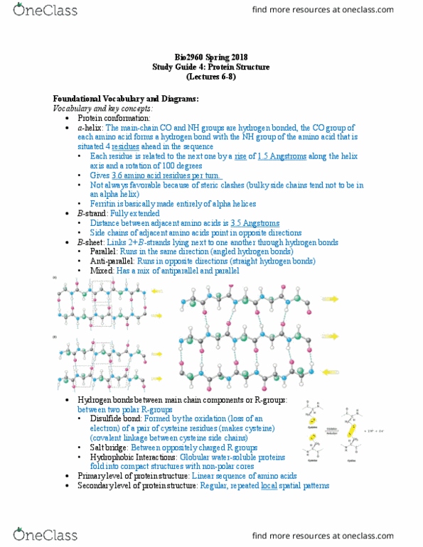 Biology And Biomedical Sciences BIOL 2960 Lecture Notes - Lecture 6: Ionic Bonding, Coomassie Brilliant Blue, Keratin thumbnail