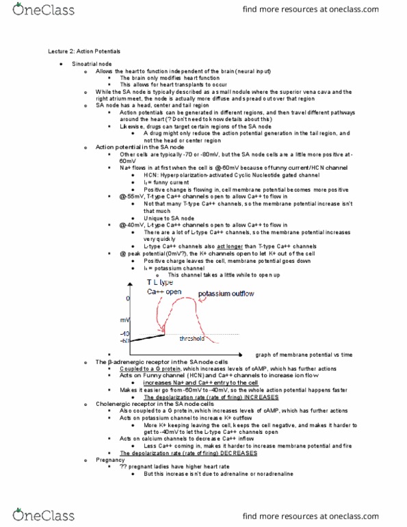 BIOM 4180 Lecture Notes - Lecture 2: Ablation, Sunburn, Antiarrhythmic Agent thumbnail