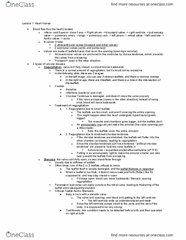 BIOM 4180 Lecture Notes - Lecture 1: Femoral Vein, Echocardiography, Fluoroscopy thumbnail