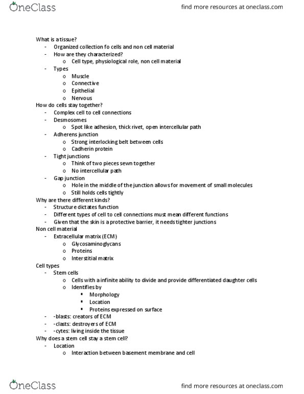 PNB 2264 Lecture Notes - Lecture 3: Coagulation, Osteoclast, Fibroblast thumbnail