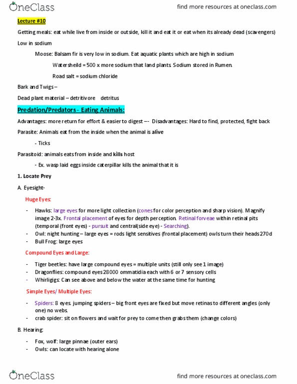 BIOL 1902 Lecture Notes - Lecture 10: Forked Tongue, Whiskers, Boreal Owl thumbnail