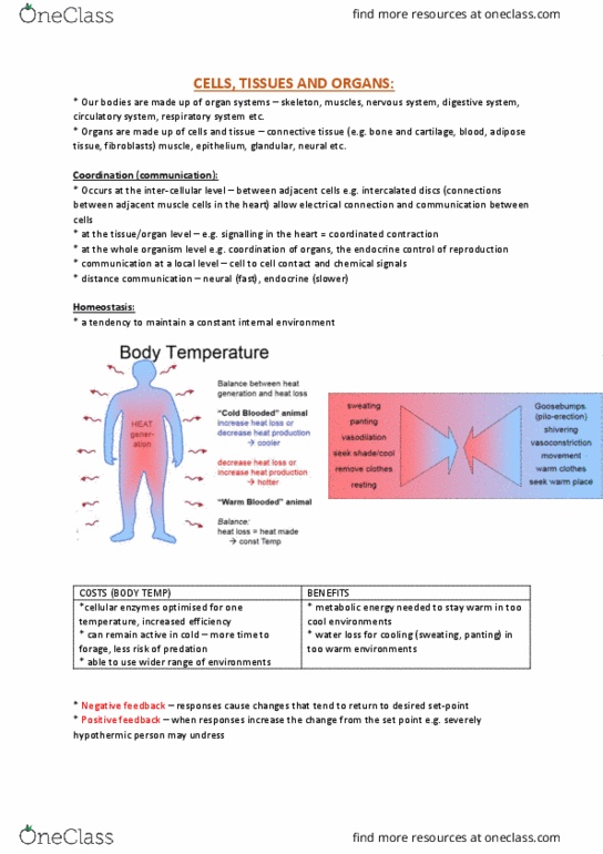 BIOL10004 Lecture Notes - Lecture 20: Cortisol, Blood Sugar, Adipose Tissue thumbnail