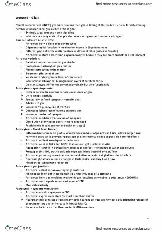 NEUR3301 Lecture Notes - Lecture 9: Glial Scar, Phagocyte, Monocyte thumbnail