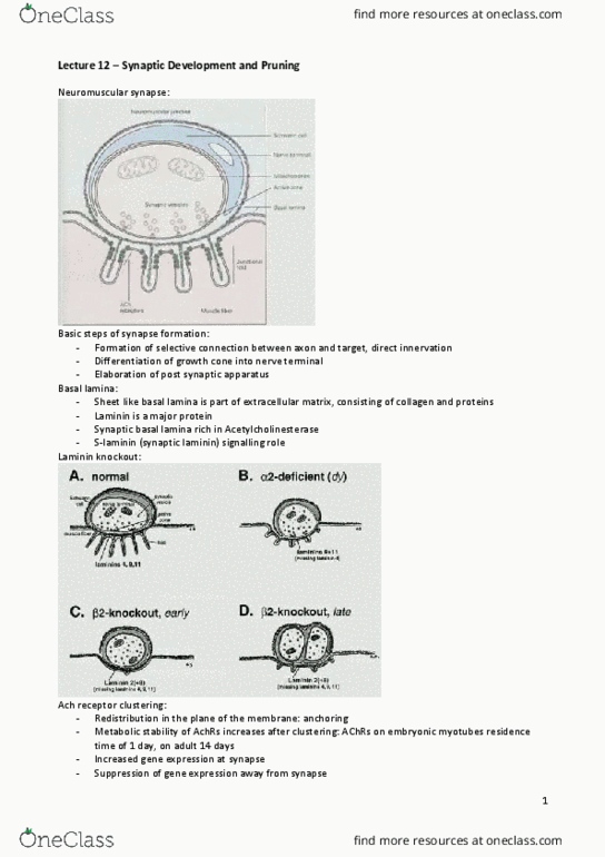 document preview image