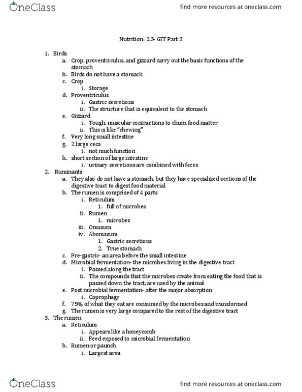 ANFS251 Lecture Notes - Lecture 2: Monogastric, Burping, Reticulorumen thumbnail