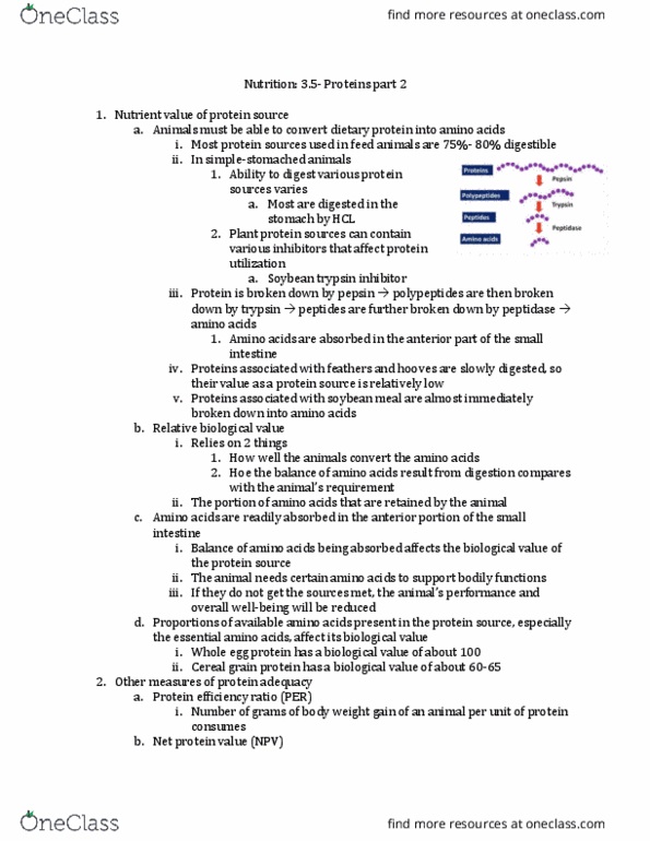 ANFS251 Lecture Notes - Lecture 3: Monogastric, Infertility, Protein Quality thumbnail