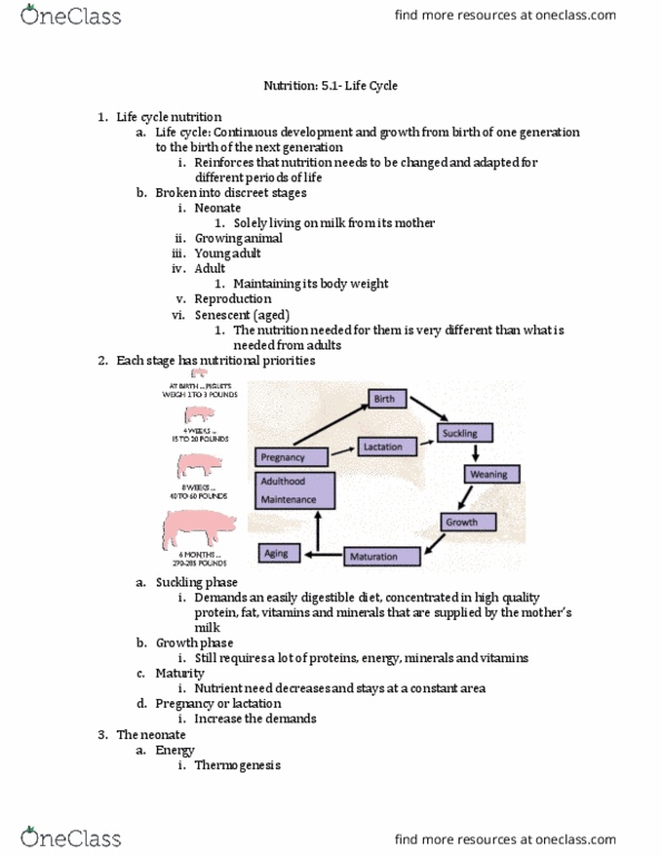 ANFS251 Lecture 5: 5.1- Life cycle thumbnail