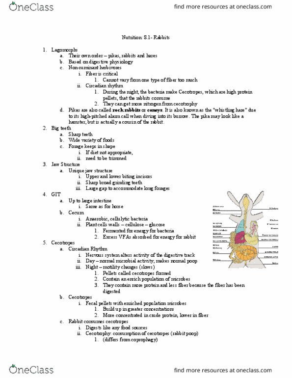 ANFS251 Lecture Notes - Lecture 8: Gestation, Mineral Oil, Long Hair thumbnail