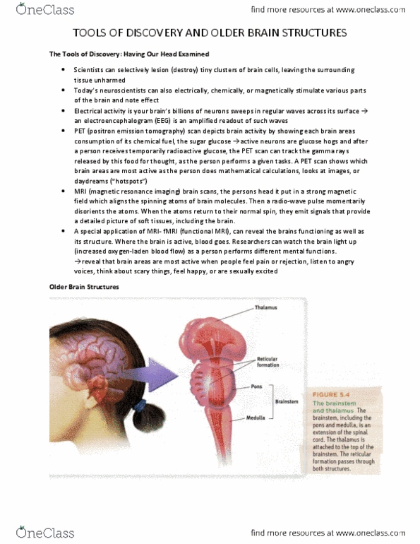 PSYC 1000 Chapter Notes - Chapter 5: Reward System, Limbic System, Amygdala thumbnail