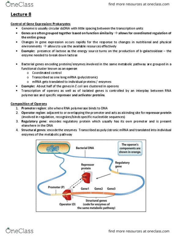 BIOB11H3 Lecture Notes - Lecture 8: Chromatin Immunoprecipitation, Ubiquitin, Transcription Preinitiation Complex thumbnail