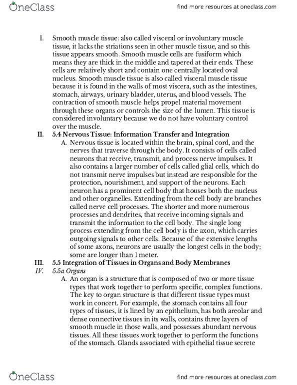 BMS 250 Chapter Notes - Chapter 5: Tympanic Cavity, Zygote, Blastocyst thumbnail