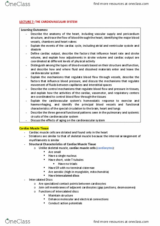 MECH2901 Lecture Notes - Lecture 7: Coronary Circulation, Ascending Aorta, Aortic Valve thumbnail