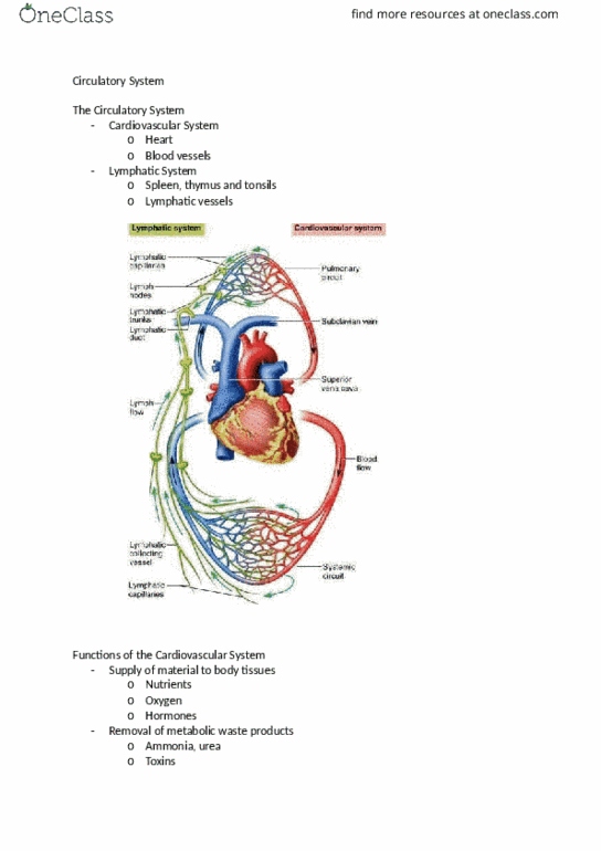 BIOL 1301 Lecture Notes - Lecture 43: Stroke Volume, Skeletal Muscle, Cardiac Cycle thumbnail