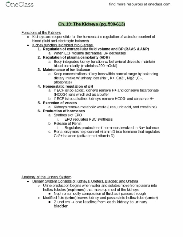 PHYS 1302 Lecture Notes - Lecture 4: Pressure Gradient, Organic Anion-Transporting Polypeptide, Macula Densa thumbnail