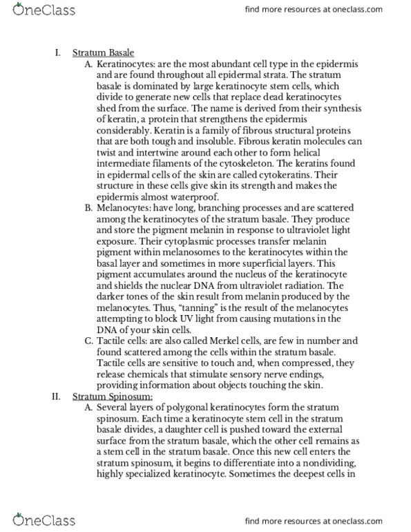 BMS 250 Chapter Notes - Chapter 6: Mitosis, Cell Membrane, Dendritic Cell thumbnail