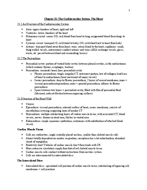 BISC 3221 Chapter 21: Chapter 21 Notes- The Heart thumbnail