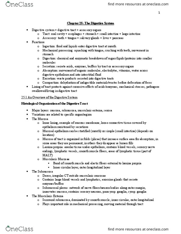 BISC 3221 Chapter Notes - Chapter 25: Sternocleidomastoid Muscle, Chyme, Vagus Nerve thumbnail