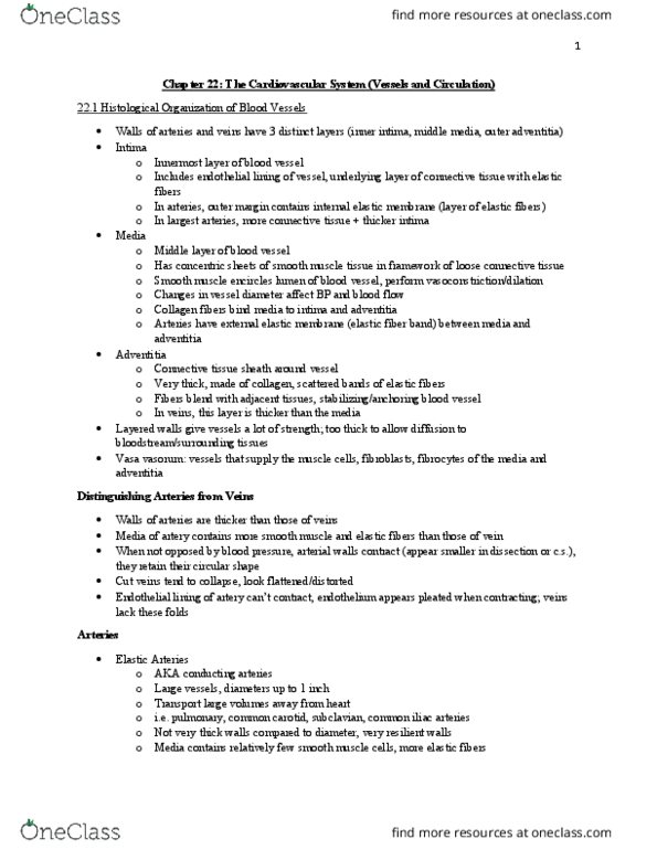 BISC 3221 Chapter 22: Chapter 22 Notes- Blood Vessels and Circulation thumbnail